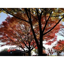 社員旅行に行ってきました！！