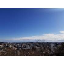 少し遠くに初詣