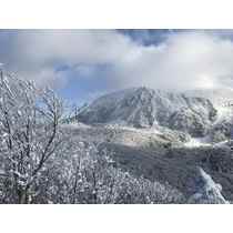 行くぜ、東北！