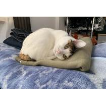 自粛、自粛…の週末の過ごし方