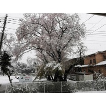 家での過ごし方