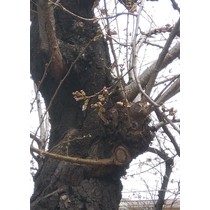 バスタイムでリラックス