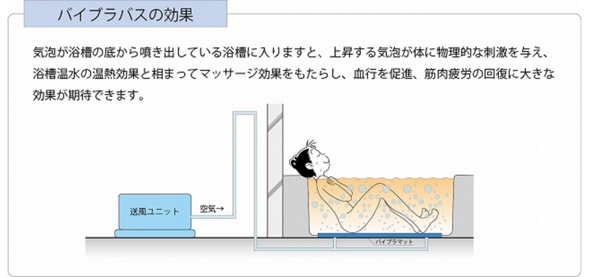 バイブラ
