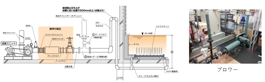 バイブラ